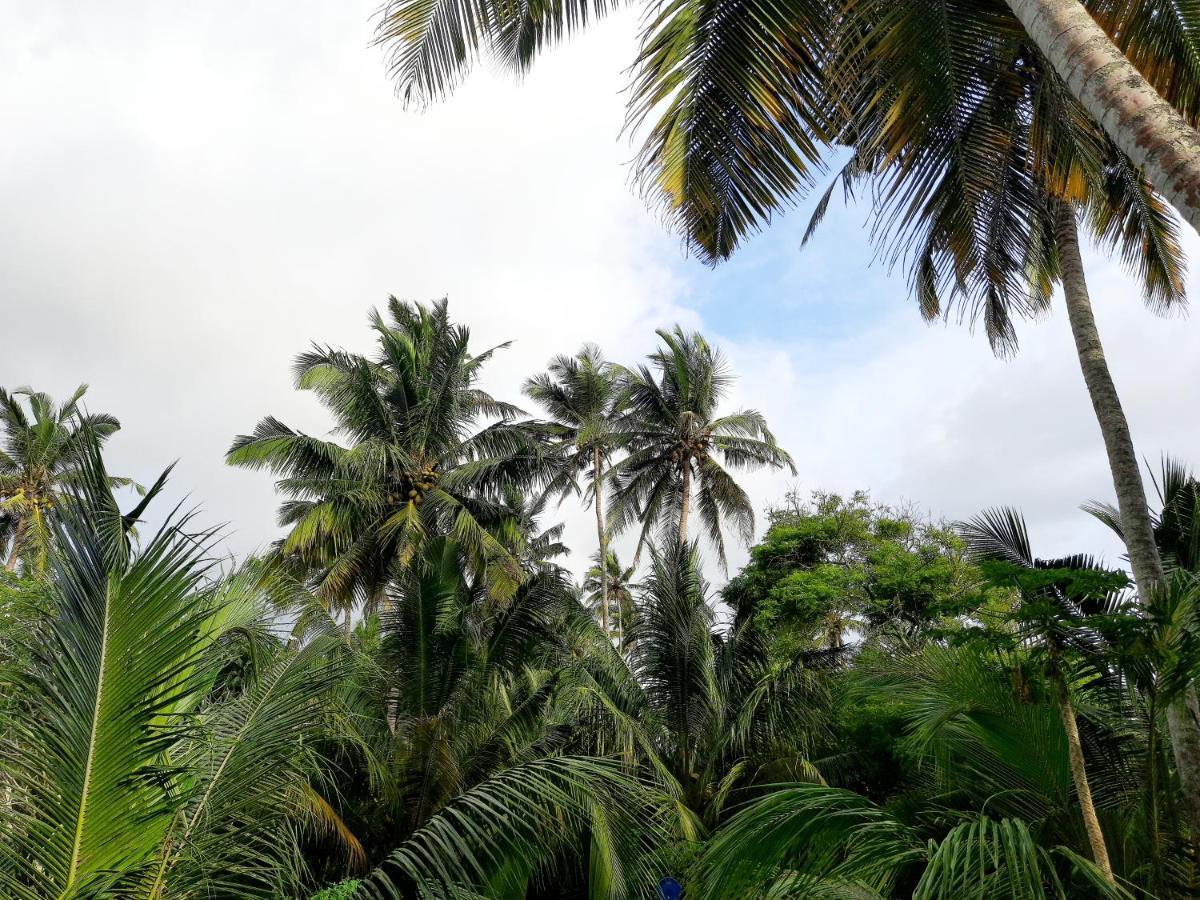 Chao Beach Villa Ahangama Eksteriør billede